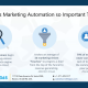 Complete-Solution-for-Microsoft-Partners-with-Work-365-and-ClickDimensions